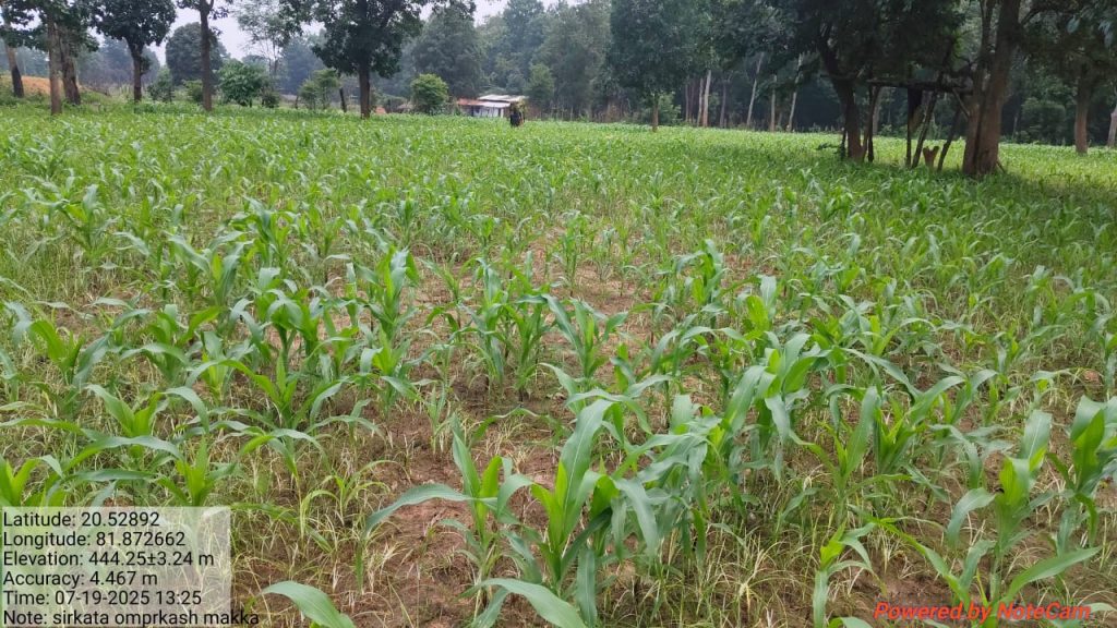 APF Supported Project